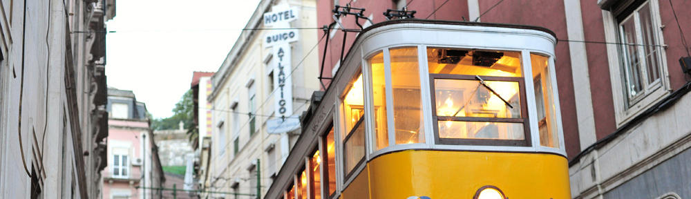 Testinstallation Deutscher Dalmatiner Club von 1920 e.V.